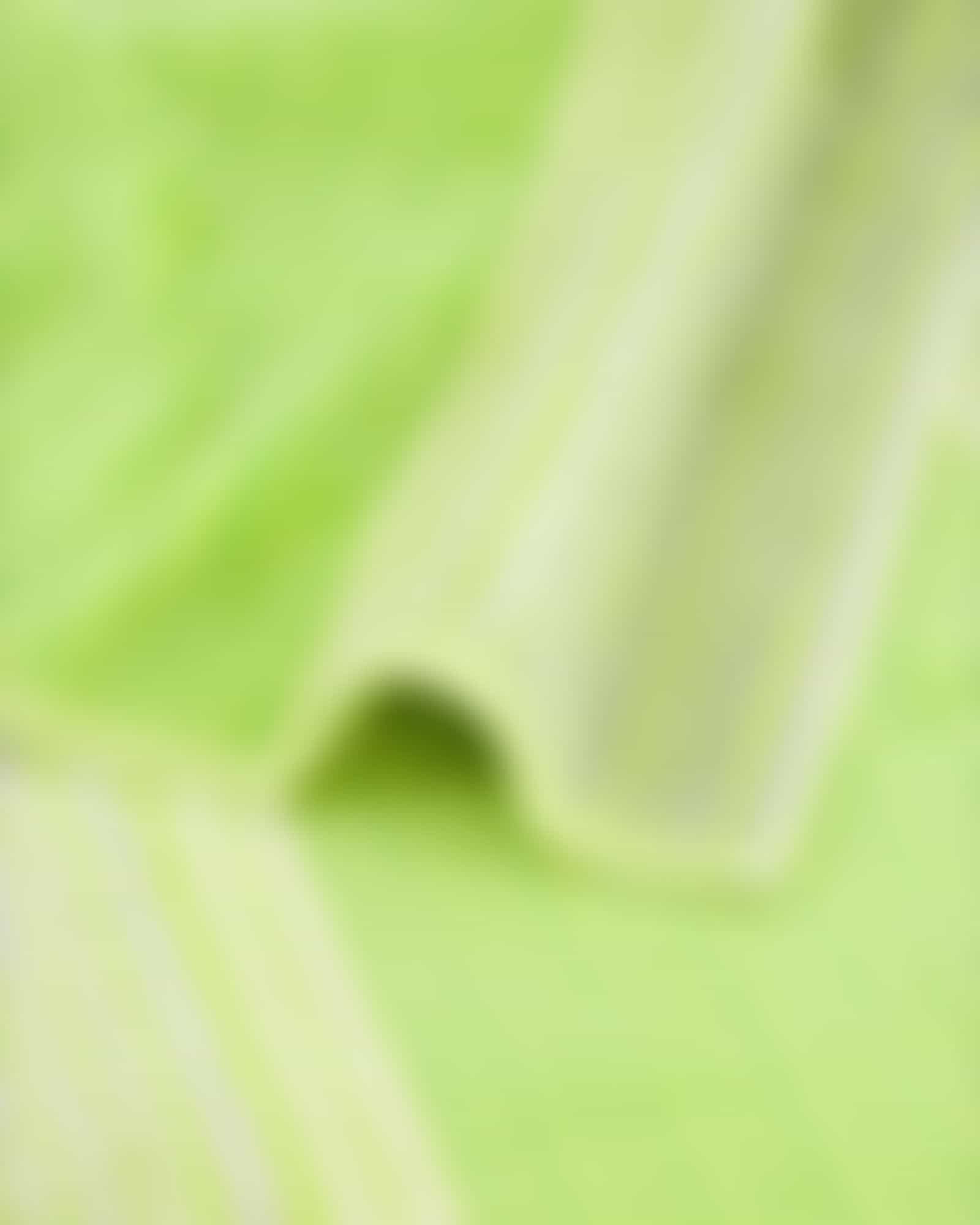Cawö - Noblesse Cashmere Streifen 1056 - Farbe: kiwi - 45 Waschhandschuh 16x22 cm
